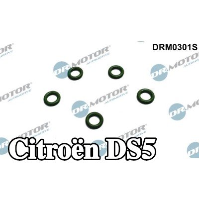 DR.MOTOR AUTOMOTIVE غطاء مانع للتسرب، فائض الوقود — Citroën Ds5