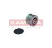 KAMOKA Alternatör debriyaj kasnağı — Toyota Starlet (1)