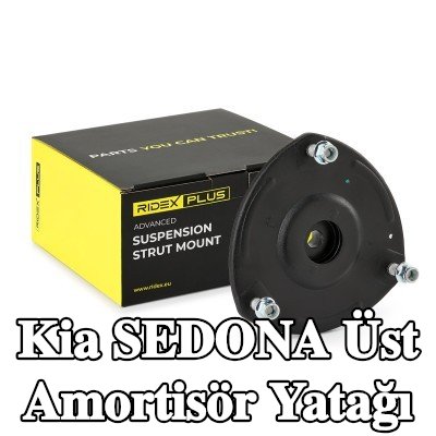 RIDEX PLUS Üst amortisör yatağı Ön Aks Sol, Ön Aks Sağ — 2000 Kia Sedona