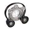 FEBI BILSTEIN Tahrik kayışı gergisi — Land Rover Range Rover (2)