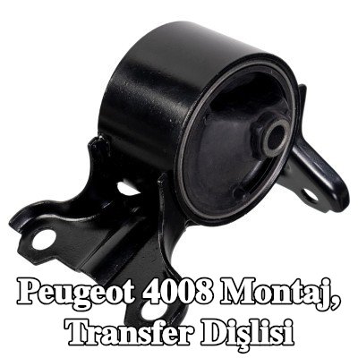 FEBI BILSTEIN Montaj, transfer dişlisi — Peugeot 4008