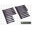 BGA Cıvata Kiti, silindir kafası M12, M14, 136, 5mm — Ford Scorpio (7)