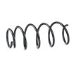 SACHS Helezon yay — 2012 Toyota Yaris (2)