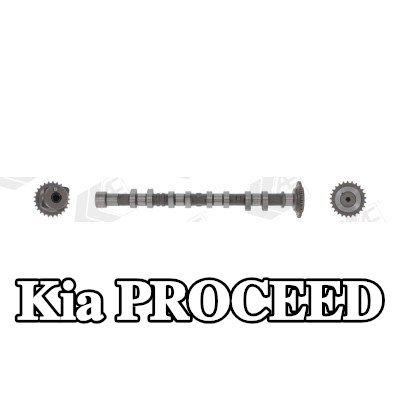 AE عمود الكامات جانب العادم — 2014 Kia Proceed