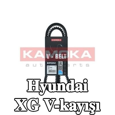 KAMOKA V-kayışı 1050mm — Hyundai Xg