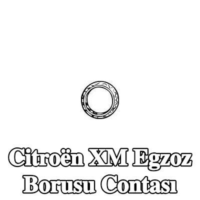 VEGAZ Egzoz borusu contası — Citroën Xm