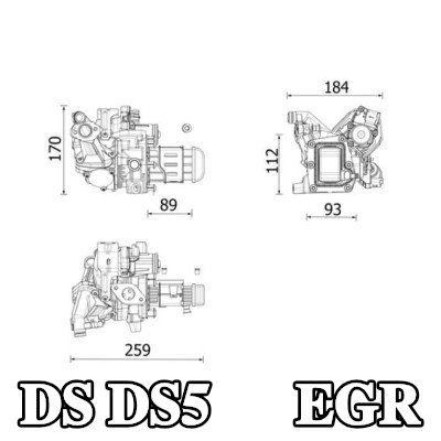 MAHLE مبرد EGR بدون حشية/مانع تسرب, مع صمام EGR — DS Ds5
