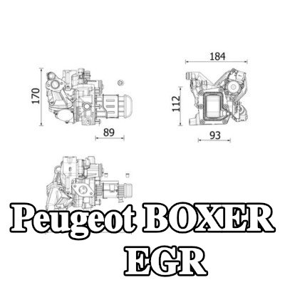 MAHLE مبرد EGR بدون حشية/مانع تسرب, مع صمام EGR — Peugeot Boxer