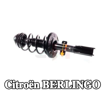 GH دعامة نظام التعليق — Citroën Berlingo