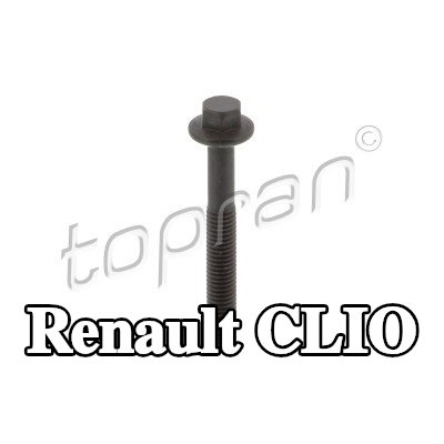 TOPRAN برغي مشبك الحاقن — 2012 Renault Clio