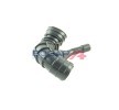 BOGAP Cam anahtarı — Peugeot 207 (2)