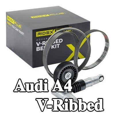 RIDEX PLUS مجموعة أحزمة V-Ribbed — 2000 Audi A4