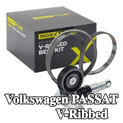 RIDEX PLUS مجموعة أحزمة V-Ribbed — 2000 Volkswagen Passat