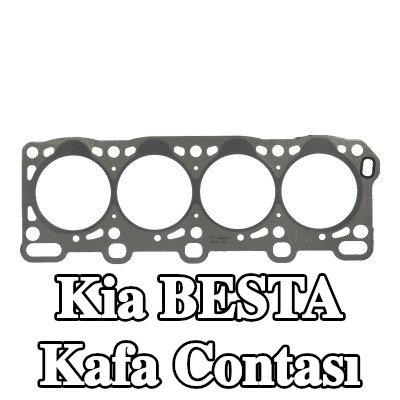 PAYEN Kafa contası — Kia Besta