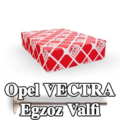 FEBI BILSTEIN Egzoz valfi — 2008 Opel Vectra