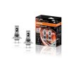 OSRAM LED ampul — Citroën Dispatch (1)