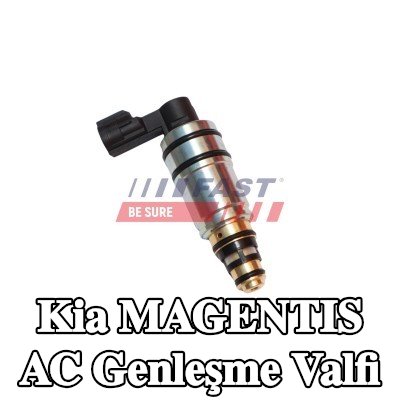 FAST AC genleşme valfi — Kia Magentis