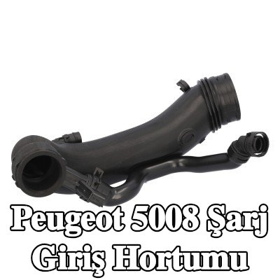 FEBI BILSTEIN Şarj giriş hortumu — Peugeot 5008