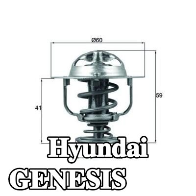MAHLE ثرموستات 82°C, 60mm, 30mm, مع حشية/مانع تسرب — 2012 Hyundai Genesis