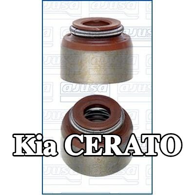 AJUSA حشية صمام — 2002 Kia Cerato