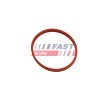 FAST EGR valfi boru contası — 2005 Renault Clio (1)