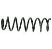 SACHS Helezon yay — 2012 Renault Megane (5)