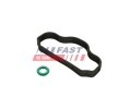 FAST Conta halkası, silindir kapağı cıvatası — Ford Transit (1)