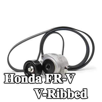 SKF مجموعة أحزمة V-Ribbed — Honda Fr-v