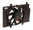 VALEO Fan, tutuculu radyatör — Ford Ecosport (3)