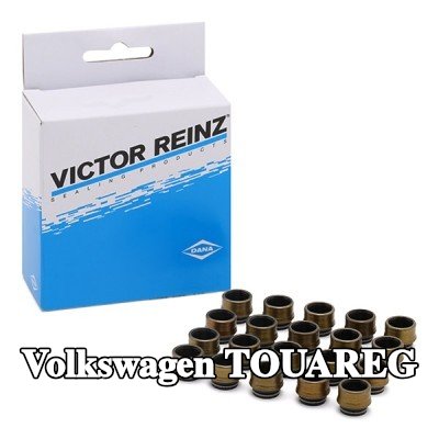 REINZ مجموعة سدادات صمامات الصمامات — 2003 Volkswagen Touareg