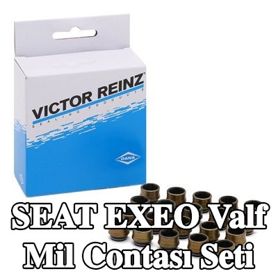 REINZ Valf mil contası seti — 2008 SEAT Exeo