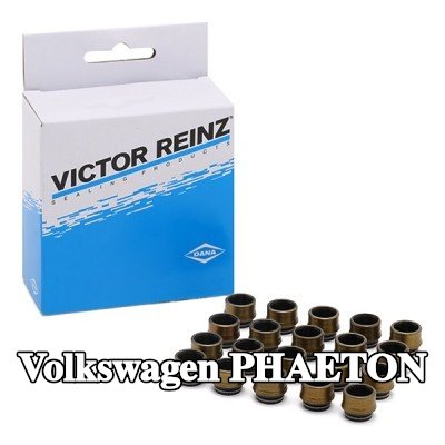 REINZ مجموعة سدادات صمامات الصمامات — Volkswagen Phaeton