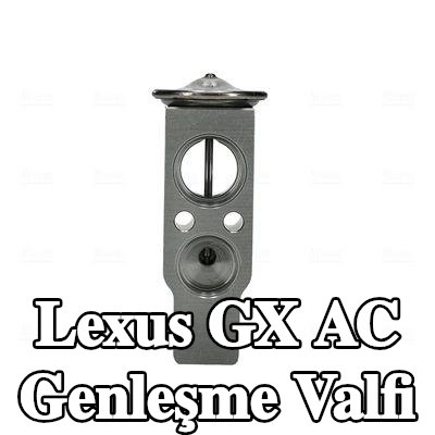 NISSENS AC genleşme valfi — Lexus Gx