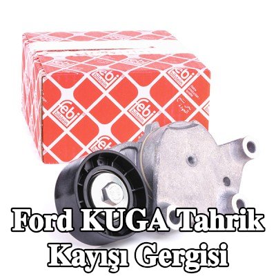 FEBI BILSTEIN Tahrik kayışı gergisi — Ford Kuga