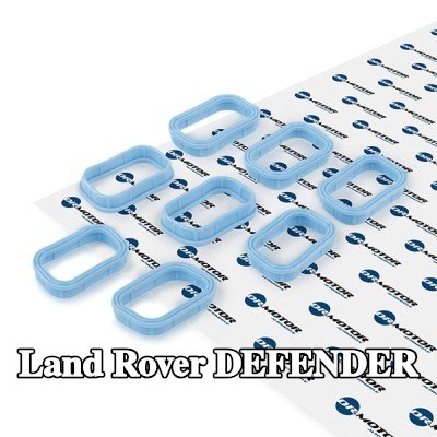 DR.MOTOR AUTOMOTIVE مجموعة حشيات، مشعب السحب — Land Rover Defender