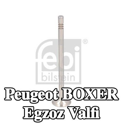 FEBI BILSTEIN Egzoz valfi — Peugeot Boxer