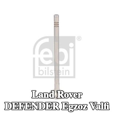 FEBI BILSTEIN Egzoz valfi — Land Rover Defender