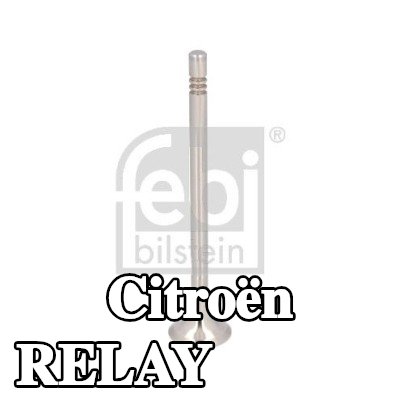 FEBI BILSTEIN صمام العادم — Citroën Relay