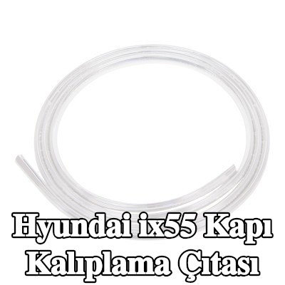 CARPOINT Kapı kalıplama çıtası — Hyundai ix55