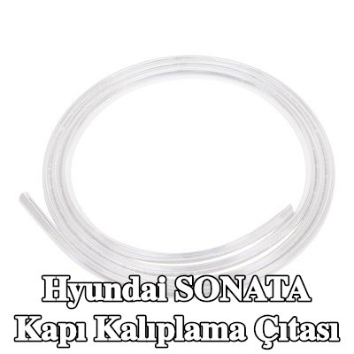 CARPOINT Kapı kalıplama çıtası — 1997 Hyundai Sonata