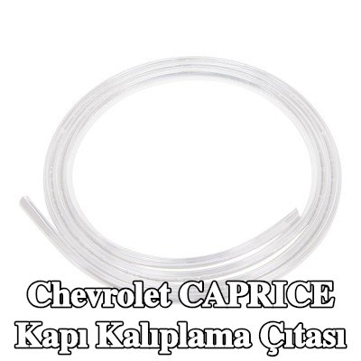 CARPOINT Kapı kalıplama çıtası — 1990 Chevrolet Caprice