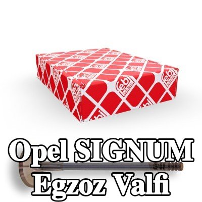 FEBI BILSTEIN Egzoz valfi — 2003 Opel Signum