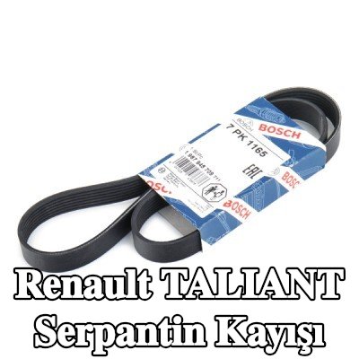 BOSCH Serpantin kayışı 1165mm, Number of ribs: 7 — Renault Taliant