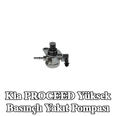BOSCH Yüksek basınçlı yakıt pompası — 2016 Kia Proceed