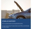 STABILUS Kaput destek çubuğu LIFT-O-MAT — Renault 25 (3)