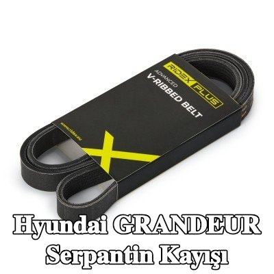 RIDEX PLUS Serpantin kayışı 1510mm, Number of ribs: 6 — Hyundai Grandeur