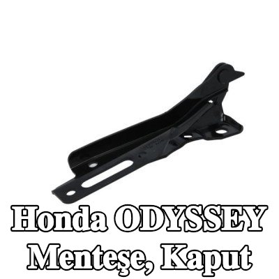 BLIC Menteşe, kaput — Honda Odyssey