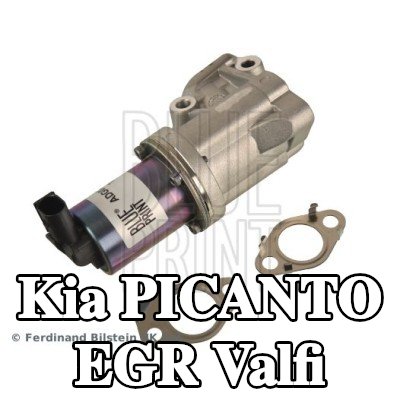 BLUE PRINT Contalı/sızdırmazlık elemanlı EGR valfi — 2011 Kia Picanto
