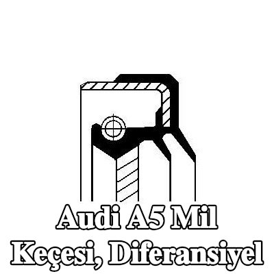 CORTECO Mil Keçesi, diferansiyel — Audi A5