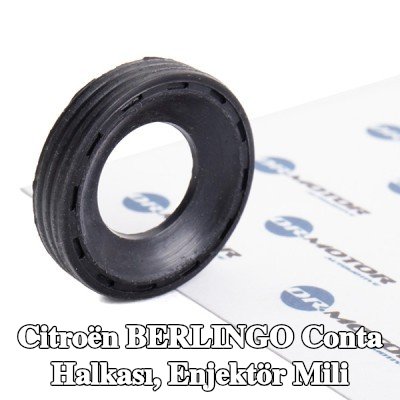 DR.MOTOR AUTOMOTIVE Conta halkası, enjektör mili — 2012 Citroën Berlingo